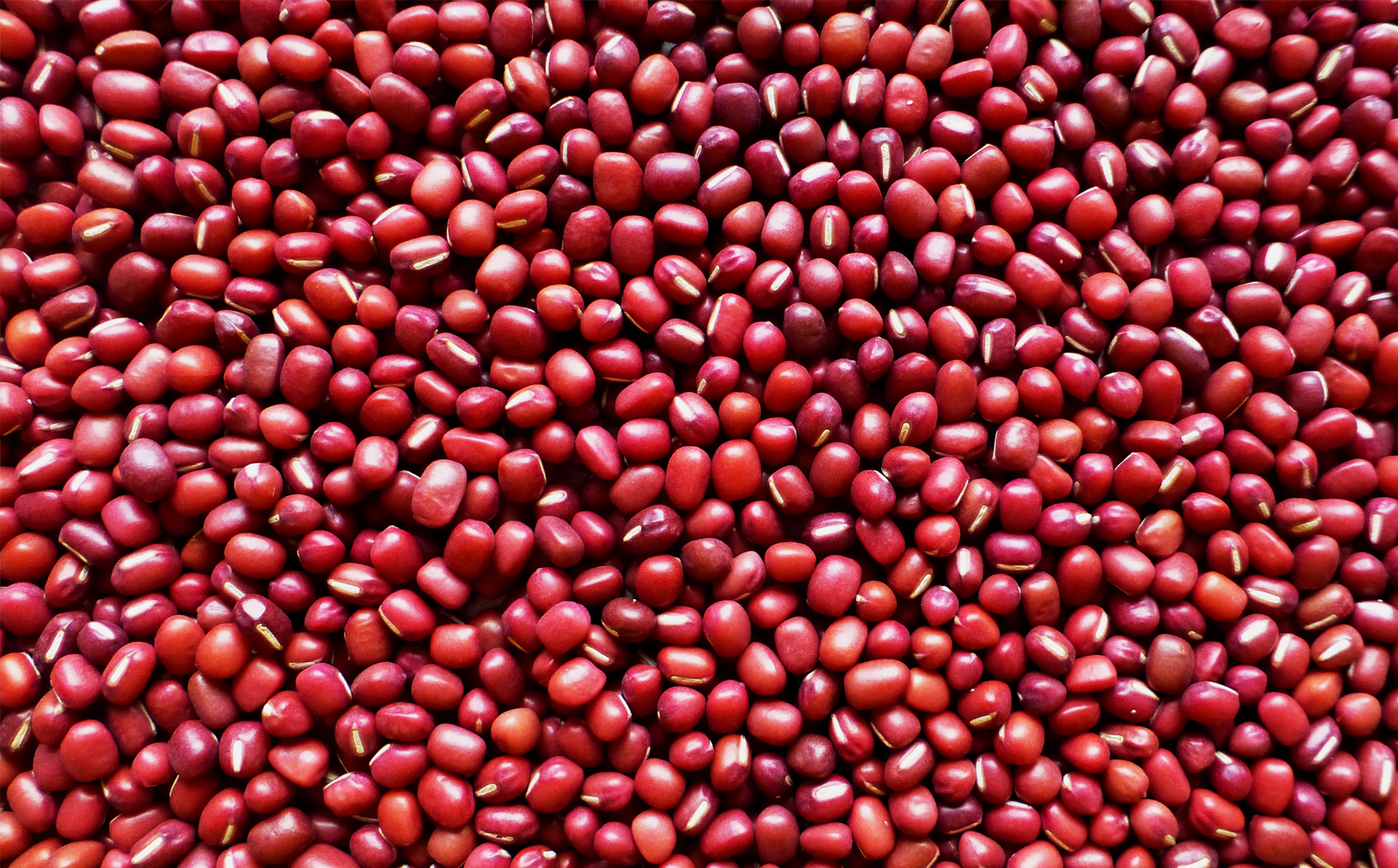 Adzuki Beans