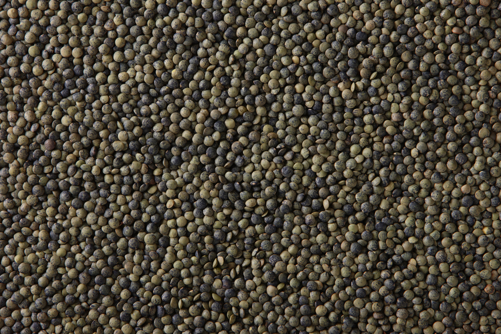 French Green Lentils
