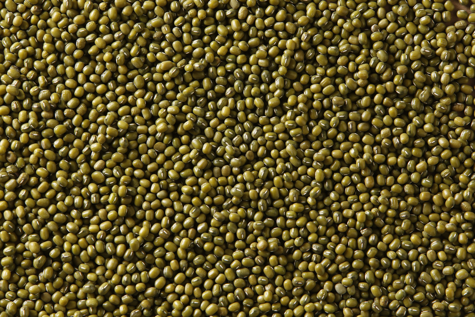 Green Mung Beans