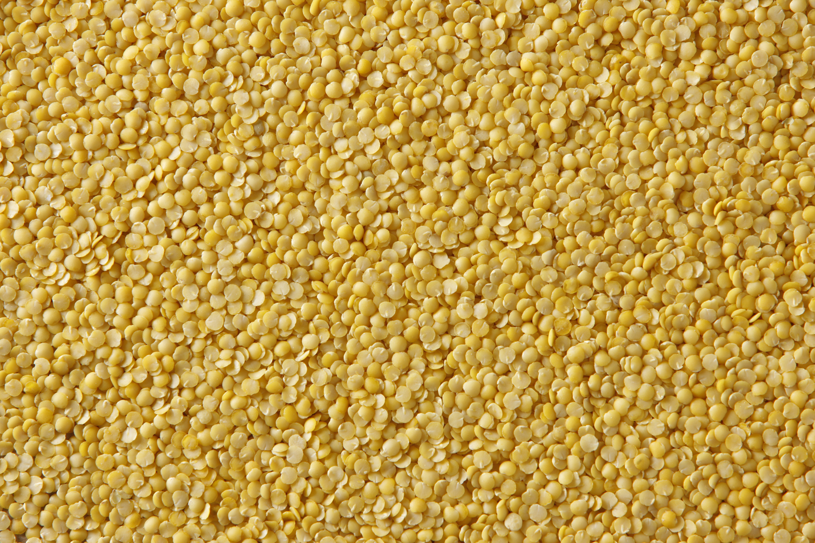Yellow Split Lentils